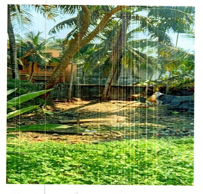 Land in Kakdwip, South 24 Parganas