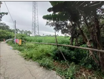 Land in Basirhat, North 24 Parganas